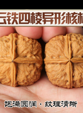 野外生长云南铁四棱异形把玩