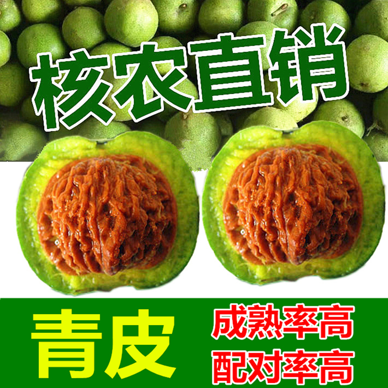 涞水文玩核桃原果赌青皮特大赤龙元宝南疆石宫灯王勇麒麟官帽把玩