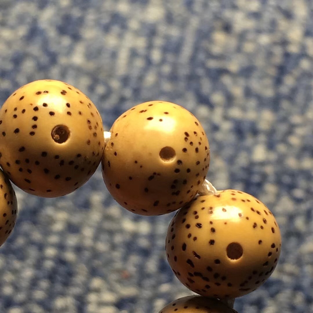 海南籽金黃陳籽老料散珠正圓菩提