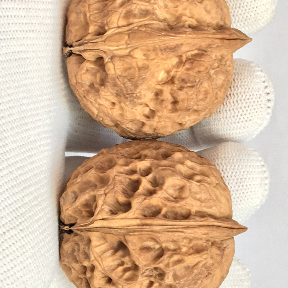 文玩核桃水晶元宝蟾云铁核桃金蟾麻核桃手把玩件厚壳铁皮小手捻