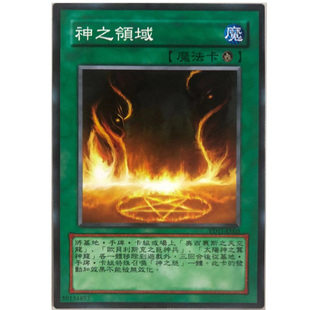 zz少年馆游戏王中文版卡片神之领域单卡卡片魔法卡牌