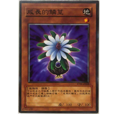 游戏王中文版卡片成长的鳞茎