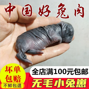 兔肉新鲜兔子肉小奶兔小兔崽无毛乳兔猫咪狗蛇生鲜零食生骨肉食材