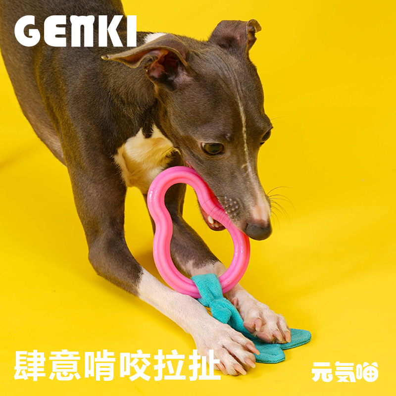 zeze狗狗啃咬发声玩具圈磨牙洁齿