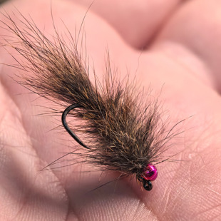 松鼠毛八哥 Woolybugger 飞钓饰带饵手工绑制鳟鱼