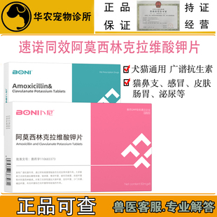 卜尼阿莫西林克拉维酸钾片宠物用猫咪感冒消炎药猫鼻支犬猫速诺片