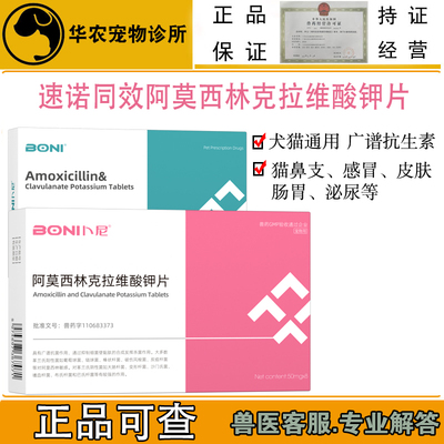 阿莫西林克拉维酸钾速诺同消炎药