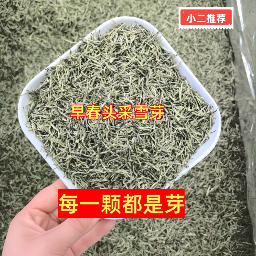 全嫩芽高香型白芽毛尖2024新茶