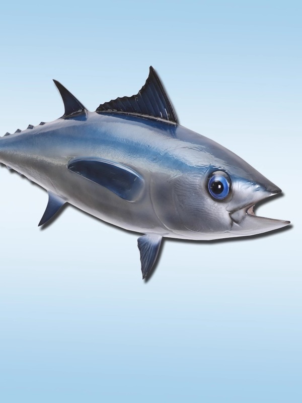 奇美鱼32英寸金枪鱼模型半边玻璃钢材质