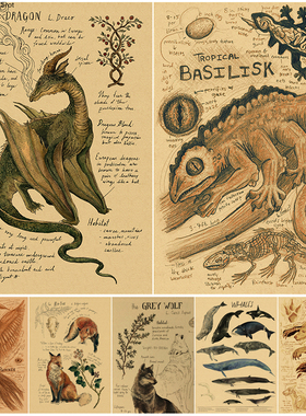 Natural Study Dragon/Tropical Basilisk/Phoenix/Fox Poster