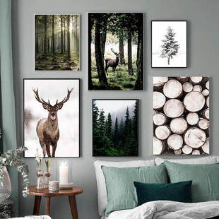 Deer Owl Sunlight Winter Art Forest Landscape Posters Snow