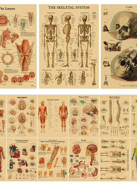 Retro Organ Systems The Human Body Poster Skeleton Anatomy