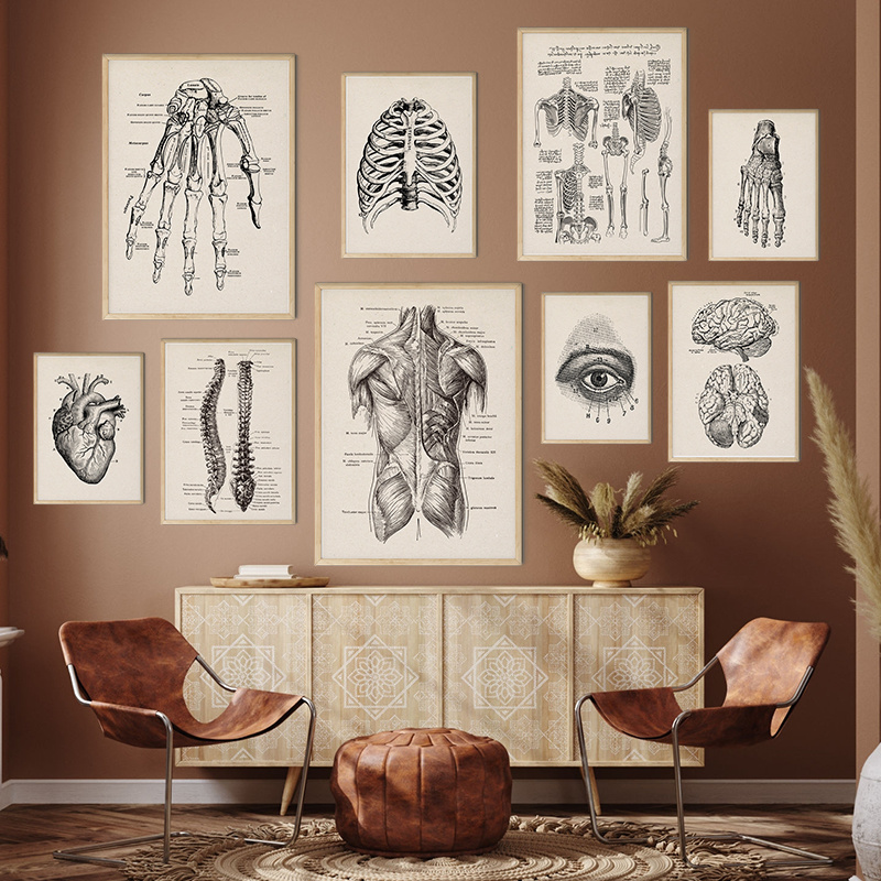 Human Anatomy Artwork Medical Picture Muscle Skeleton Poster