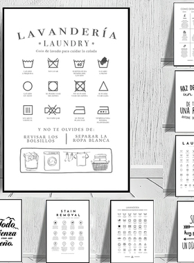 Spanish Símbolos de Lavandería Laundry Room Wall Poster