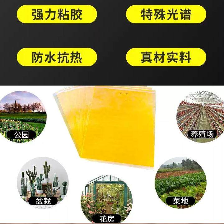 【抢新款PVC双面】PVC悬挂式粘蝇板粘蚊子飞虫黄板家庭别墅耐雨淋