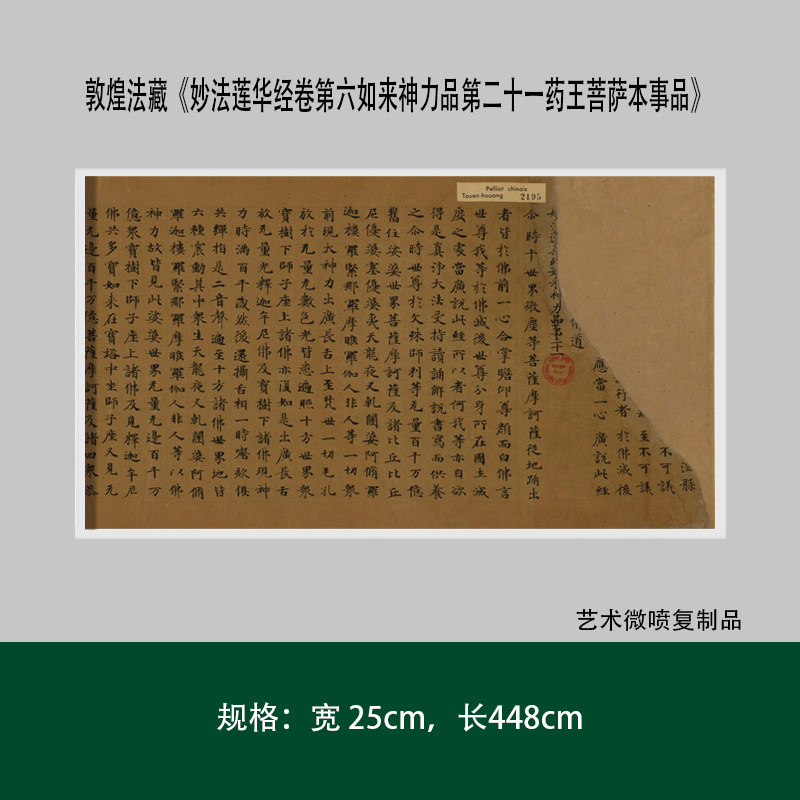 敦煌法藏《妙法莲华经卷第六如来神力品第二十一药王菩萨本事品》