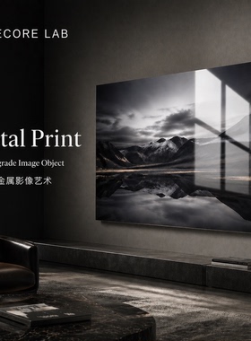 金属影像定制 Glossy / Matte 无框 Metal Print LUXECORE 画廊级