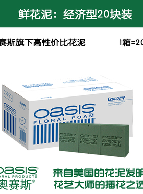 奥赛斯®花泥 oasis经济型20块装花泥 插花湿花泥鲜花泥 原奥塞斯