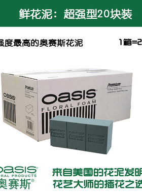 奥赛斯®超强型花泥20块装花泥 插花泥 湿花泥 鲜花泥插花工具