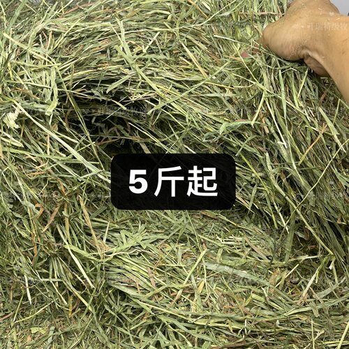 sp多叶二番加拿大提摩西草片荷兰猪豚鼠晒干龙猫兔兔干草饲料加提