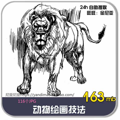 动物绘画技法素描素材猫狗狮子马大象狐狸猩猩鹿猪牛基础手绘40