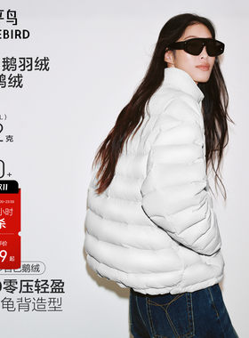 太平鸟15D霍尔多巴吉鹅绒服女