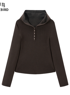 太平鸟女装25年新款进口美丽诺无缝可机洗连帽套衫上衣A1EEF1108