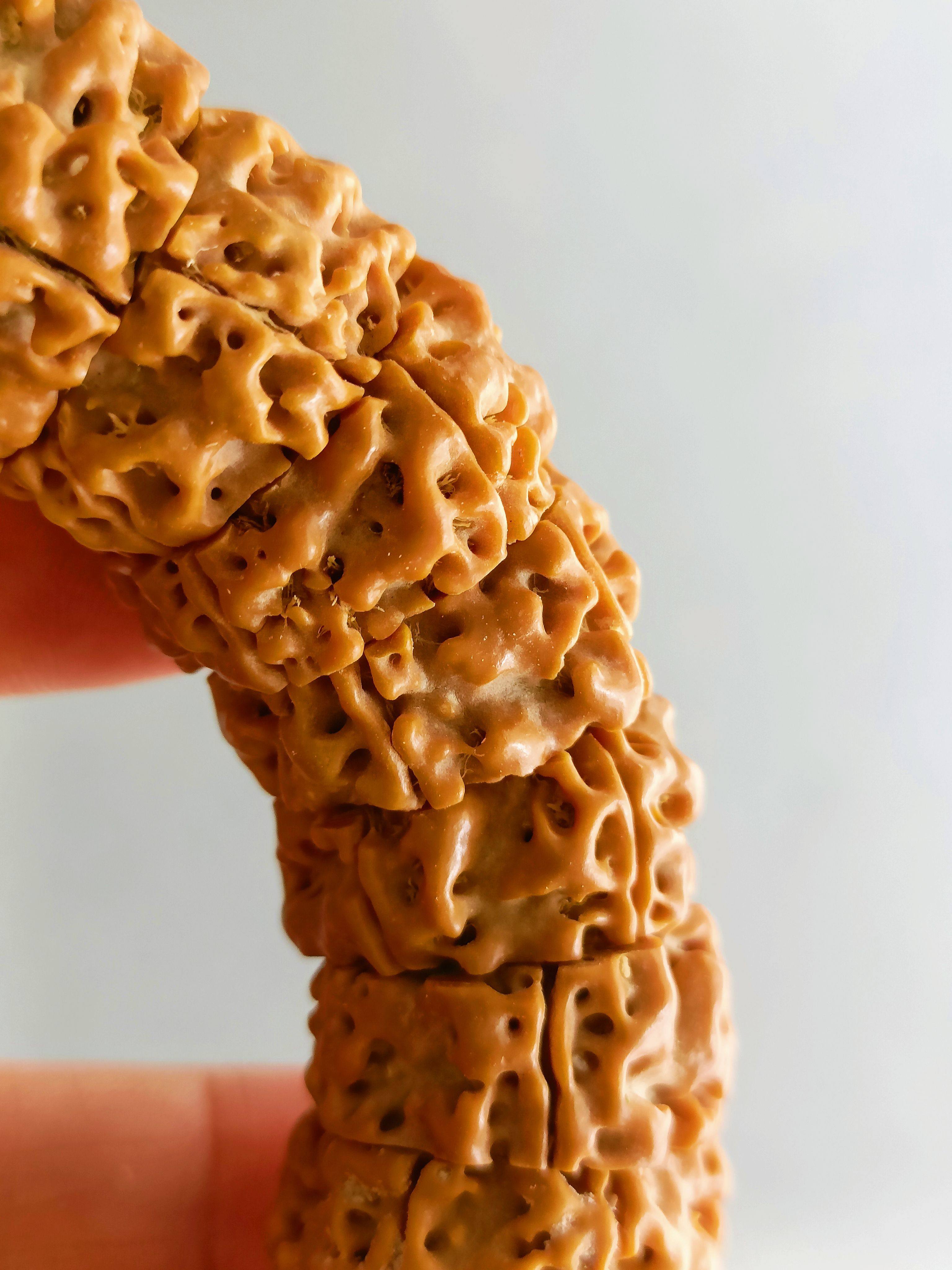 티베트 네팔 부채 모양의 RUDRAKSHA 슬라이서 닦았 옥 바즈라 매직 서클 남자 팔찌 팔찌