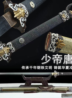 龙泉市少帝剑一体花纹钢宝剑硬剑唐横刀剑铜鞘收藏剑冷兵器未开刃