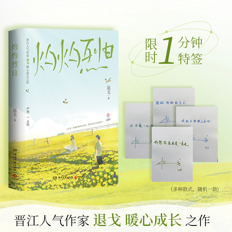 灼灼烈日 晋江人气作家退戈暖心成长之作 青春文学校园 成长治愈书籍