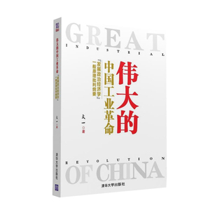 正版 伟大的中国工业革命 文一著 政治经济学批判纲要 破解中国工业革命之谜 逻辑思维 经济理论经管励志