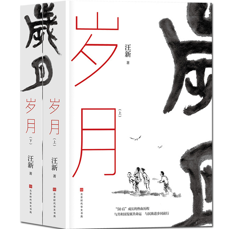 正版包邮现货岁月全两册汪新著展现了50后为国奉献、努力上进的