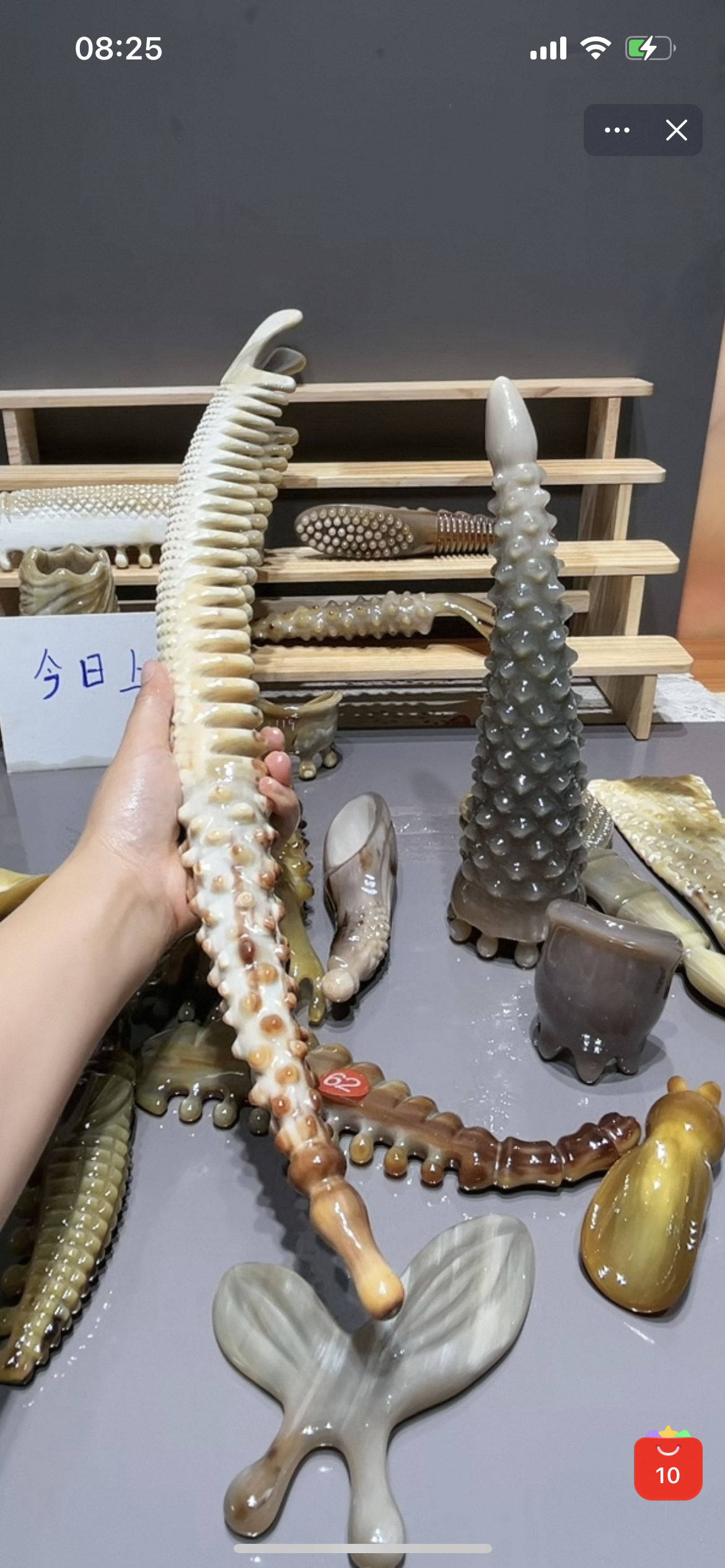 已打折牦牛角双排龙骨水滴齿按摩狗长69宽5.09厚4.2