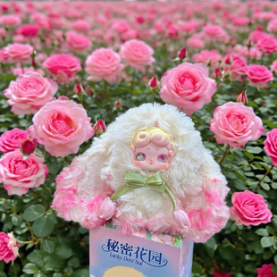 秘密花园毛绒LuckyDeerNai晚安小兔系列正版盲盒潮玩手办公仔娃娃