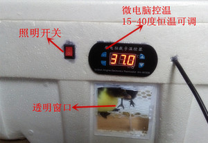 保温箱  小鸡育雏保温箱 家禽保温箱 自动恒温箱 保暖箱