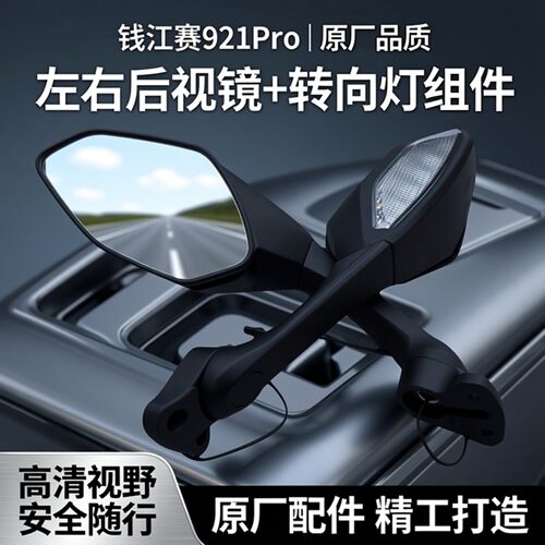 钱江赛921Pro款后视镜组件