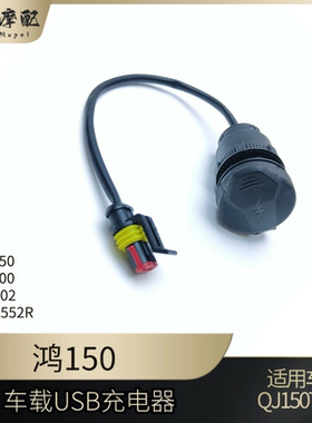 钱江骁600车载USB充电器