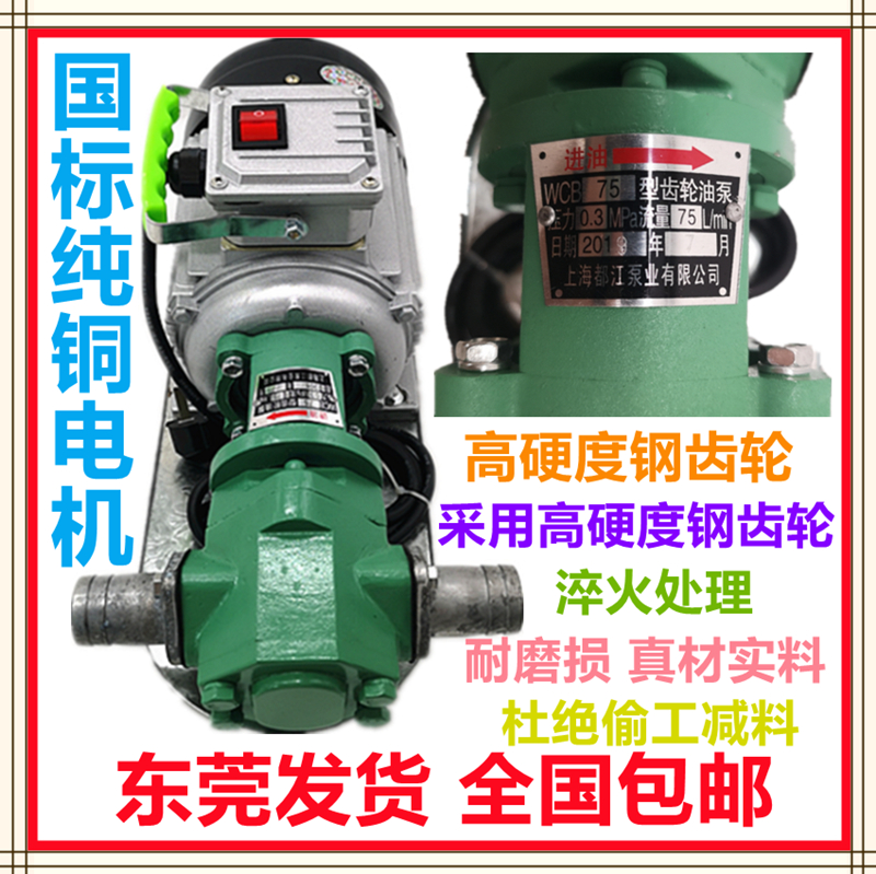 上海都江吸式齿轮泵不锈钢电动