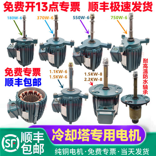 大洲浦惠冷却塔专用散热铜线电机