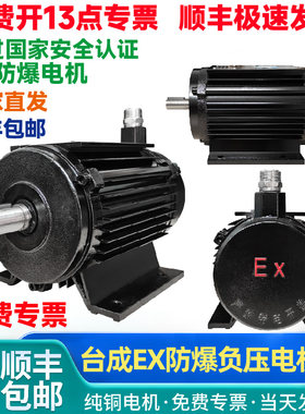 台成Ex防爆电机国标铜线隔爆4极