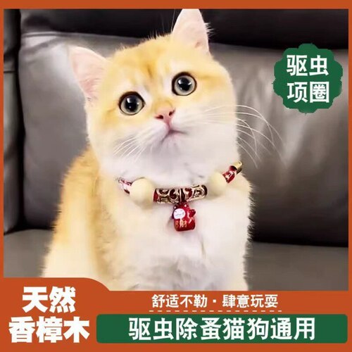 宠物猫项圈除蚤虱子宠物体外驱虫香樟木狗用品猫饰品可爱铃铛项链