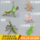 实心儿童仿真节肢昆虫玩具模型螳螂大刀螂祷告虫早教认知礼品摆件