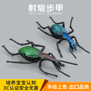 实心儿童仿真昆虫玩具模型射炮步甲虫投弹手炮弹庞巴迪认知礼品摆