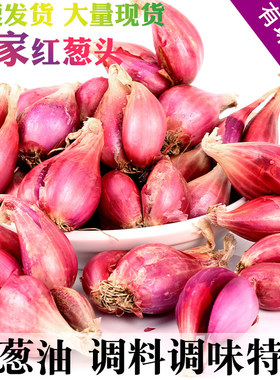新鲜红葱头干葱头正宗广东小香葱头红皮四季葱种做肠粉卤肉油葱酥