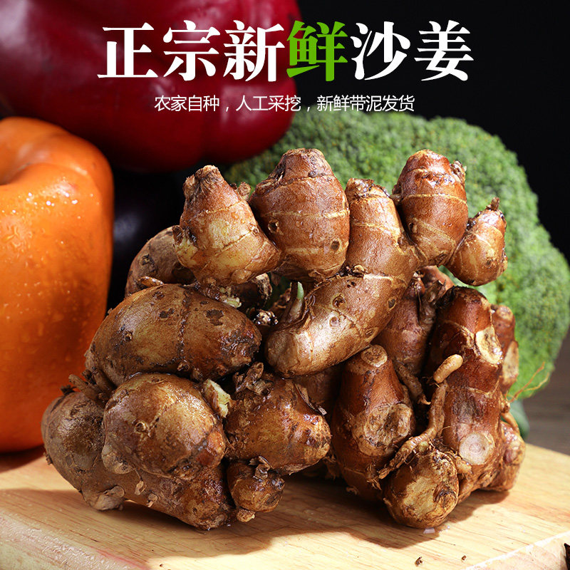 新鲜海南沙姜山姜生姜广东山奈种子白切鸡猪脚卤肉特香浓配味蘸料
