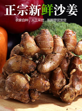 新鲜海南沙姜山姜生姜广东山奈种子白切鸡猪脚卤肉特香浓配味蘸料