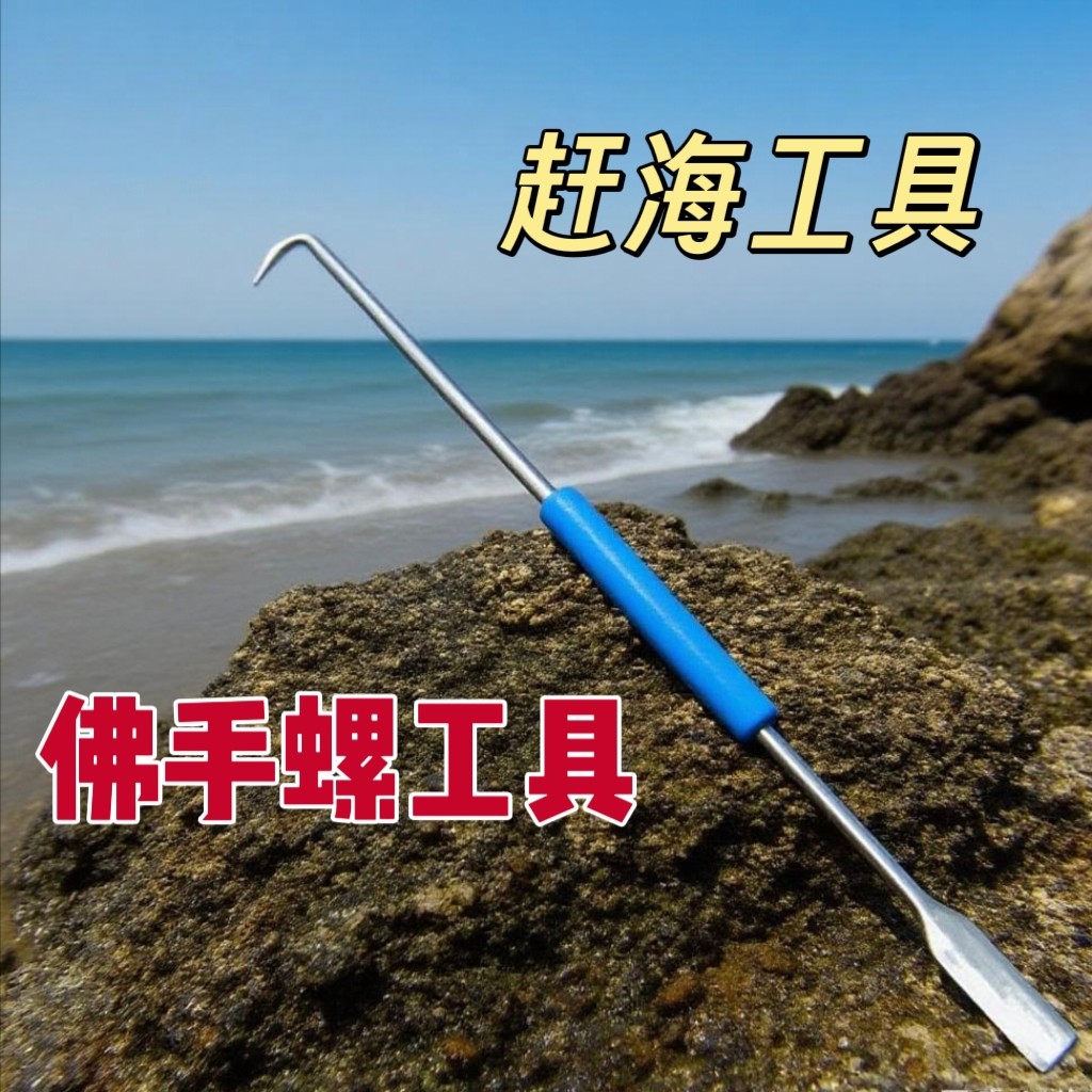 赶海不锈钢钩子钩小海螺钩螃蟹钩鱼赶海海螺钩子工具新款扣螺