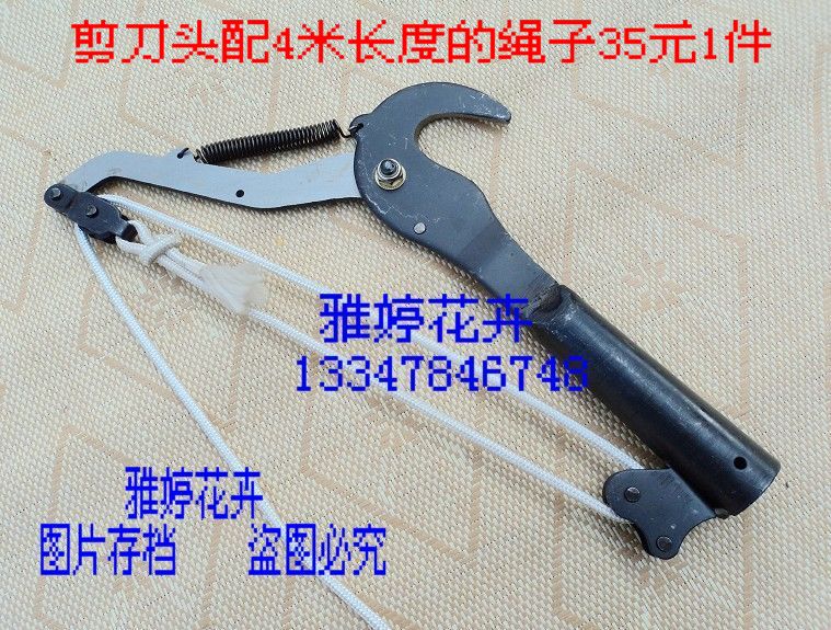 高枝百年经典林子王系列价格亲民