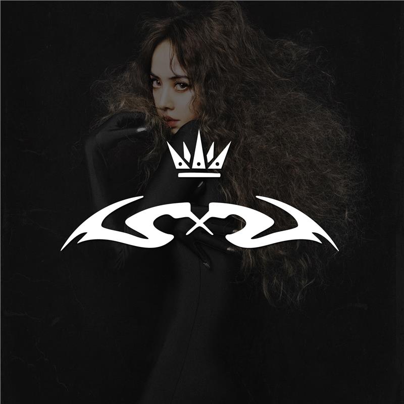 蔡依林Jolin同款纹身汽车