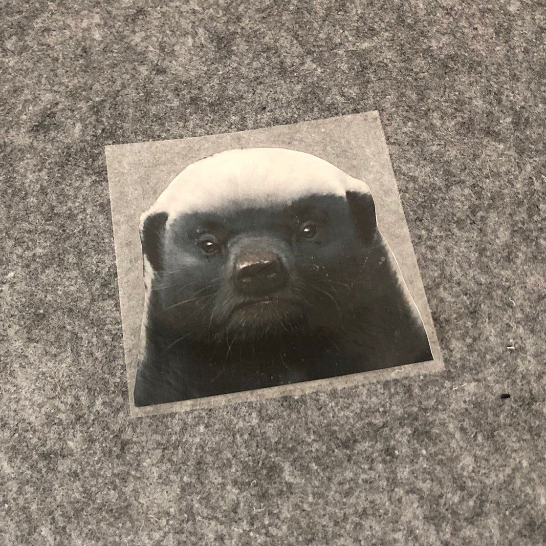 临捷密獾车贴 贴纸平头哥头像车尾贴纸打架之有仇必报动物贴纸